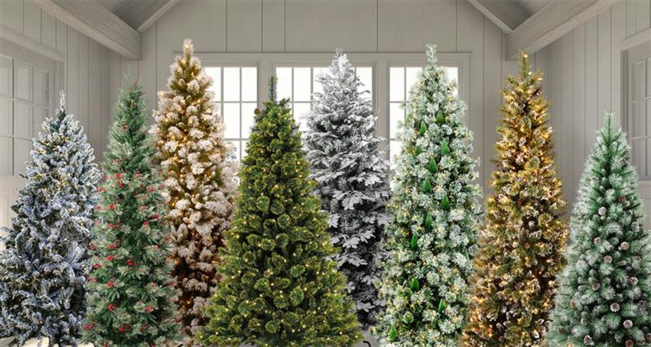 National Tree Company 11-19-25