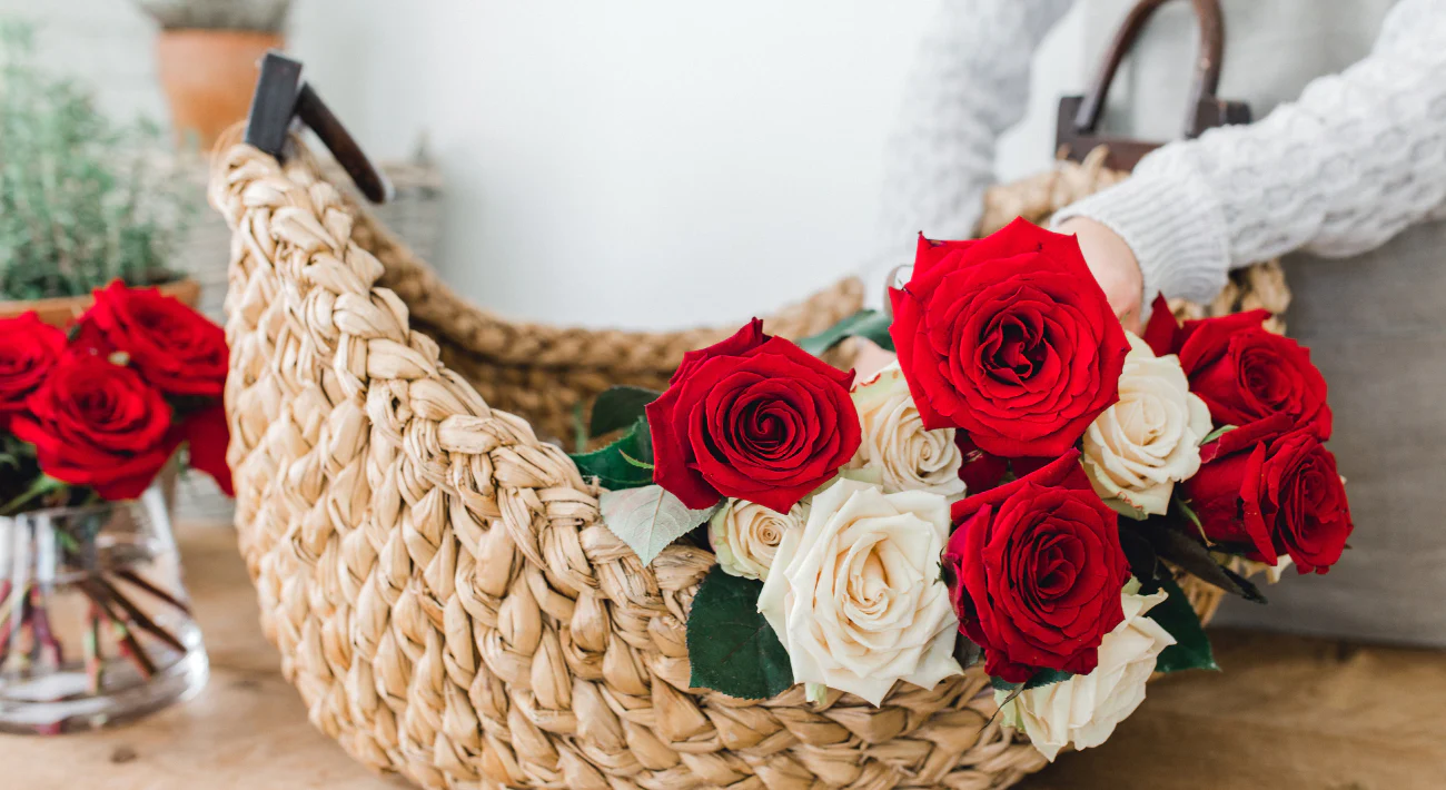 Rose Farmers 01-21-25