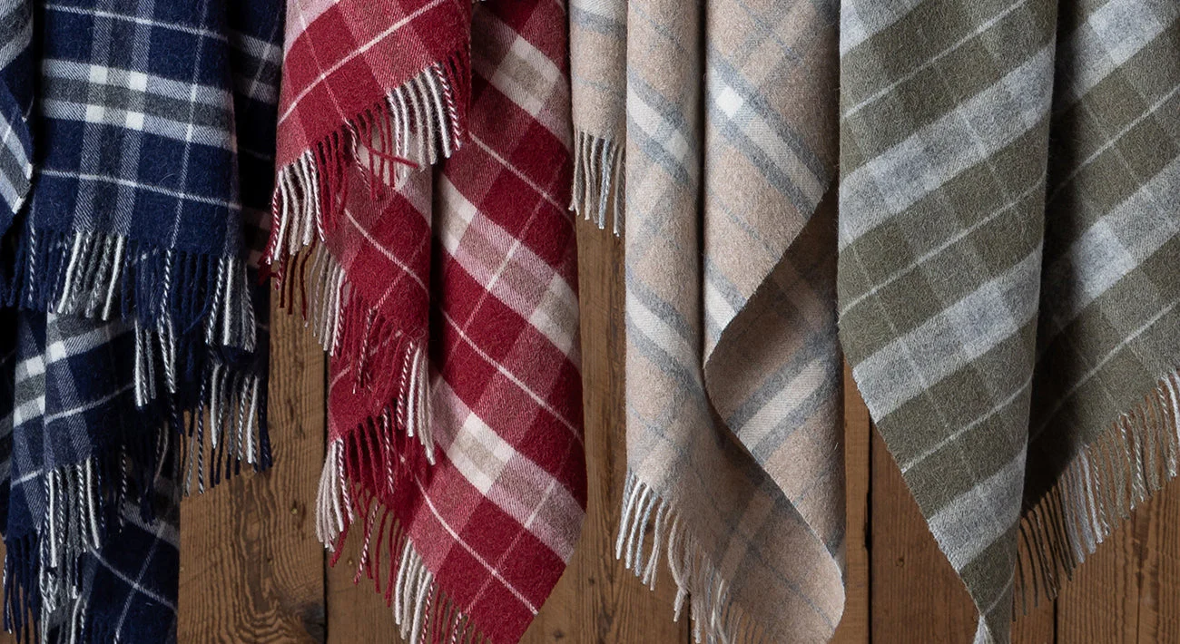 alicia adams alpaca 10-31-24 DIGITAL GMA