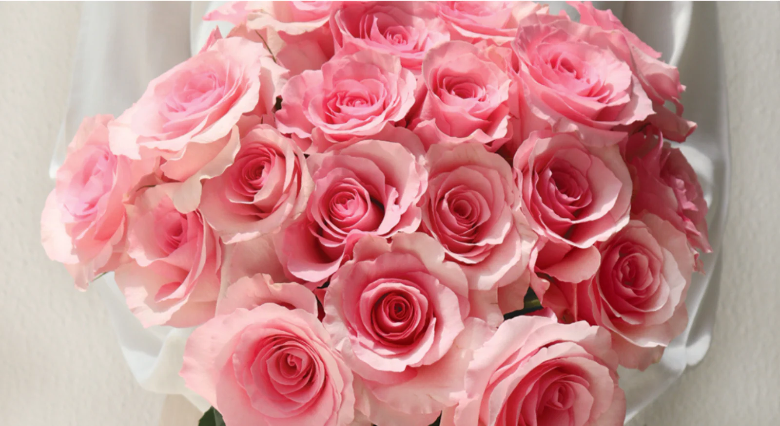 Rose Farmers 11-17-25