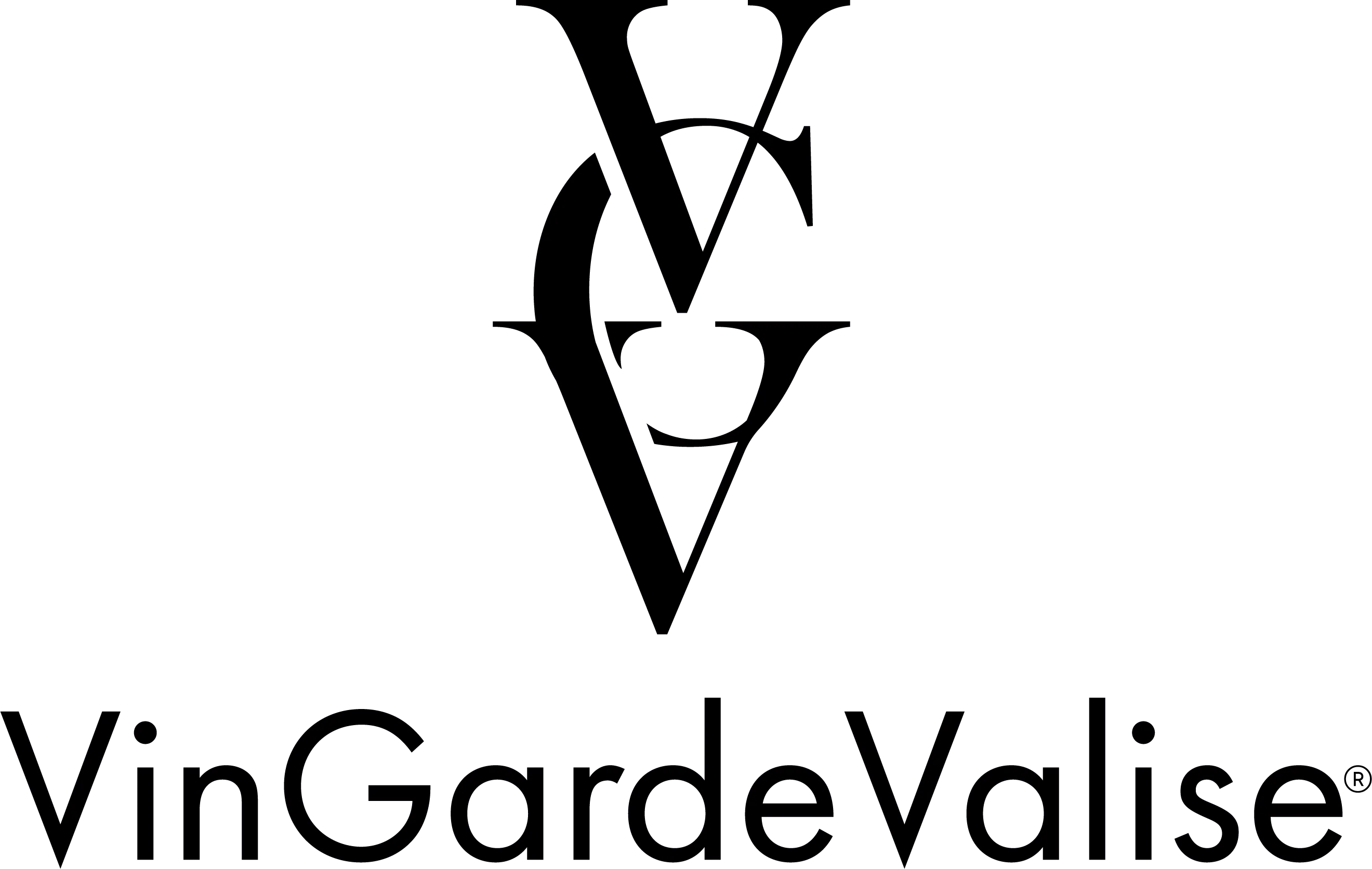 VinGardeValise 10-20-25