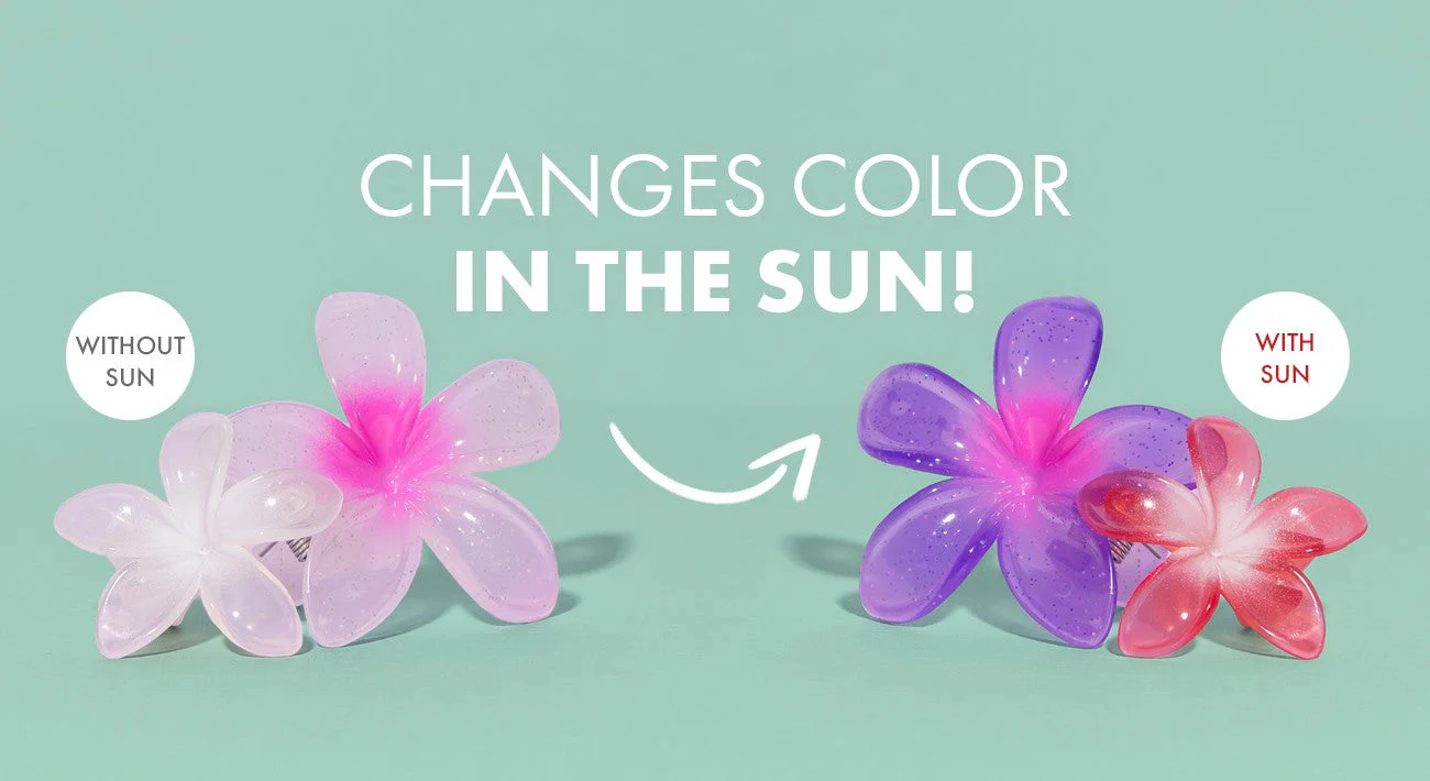 Del Sol 07-31-25  DIGITAL GMA