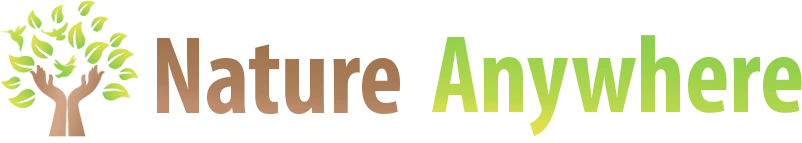 Nature Anywhere 06-23-25