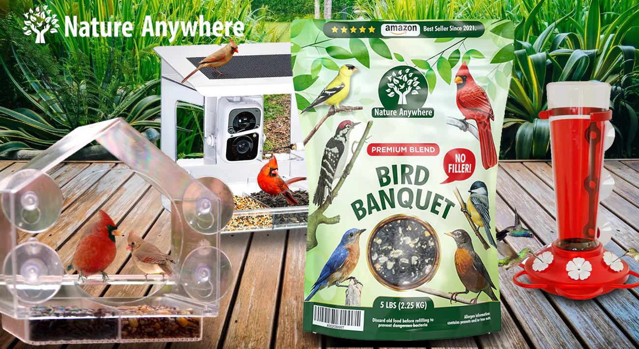 Nature Anywhere 06-23-25