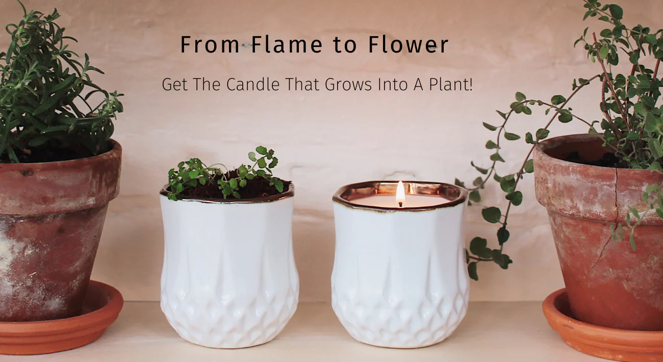 Hyggelight | The Growing Candle 04-24-25